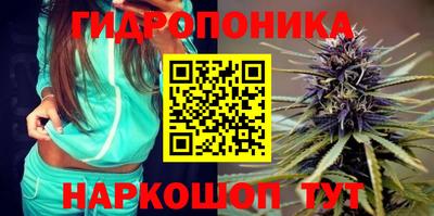 индика Кунгур