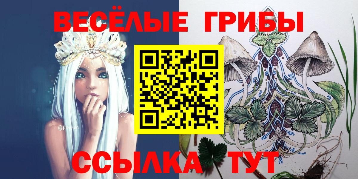 Псилоцибиновые грибы GOLDEN TEACHER Заволжье