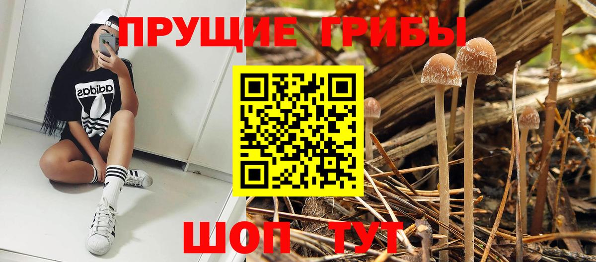 сколько стоит  Галлюциногенные грибы MAGIC MUSHROOMS  Вход с VPN  Заволжье 
